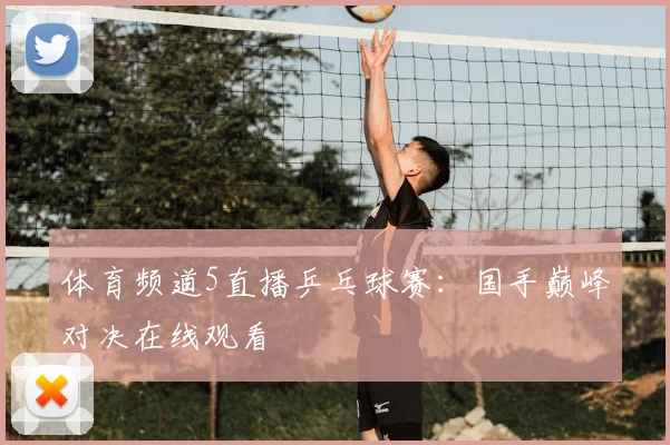 体育频道5直播乒乓球赛:国手巅峰对决在线观看