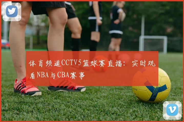 体育频道CCTV5篮球赛直播:实时观看NBA与CBA赛事